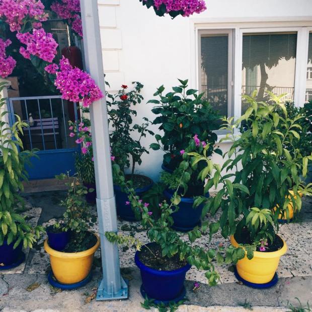 #highheels #outfit #trendy #heybeliada #change #travel #dress #shoes #heels #eyes #black #fashion #model #best #top #gapstyle #denim #blogger #rocks #fashionaddict #fashionrocks #balmainparis #turkiye #turkblogger #flowers #like #live #smile #healthylife #lifestyle