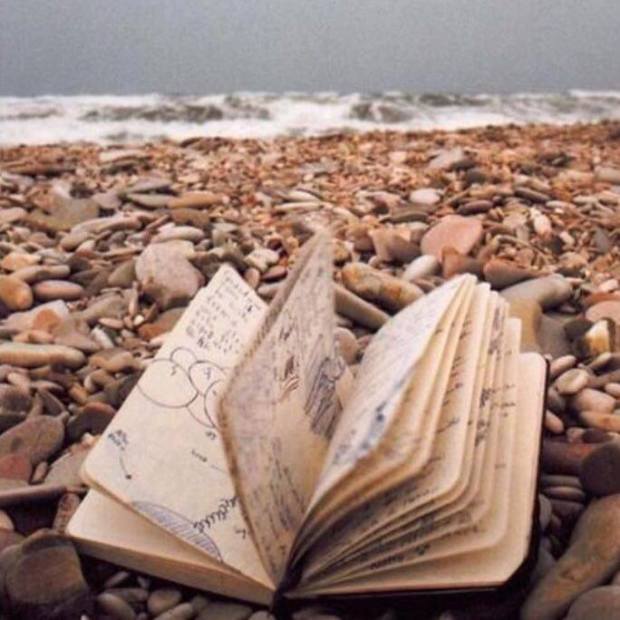 12312103_10153301521908325_665335208_n