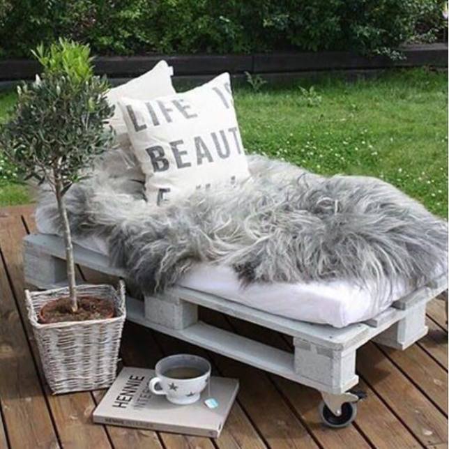 12358081_10153317663293325_955441846_n