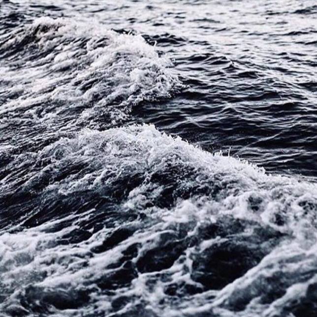 12435560_10153357558443325_1489735647_n